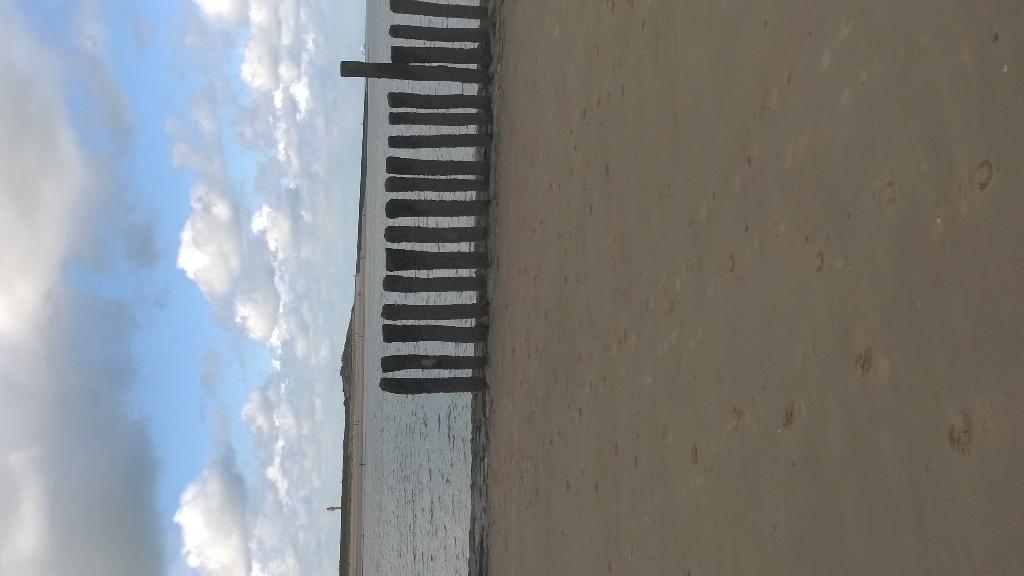 BeetsDirk's tweet image. De zee is top