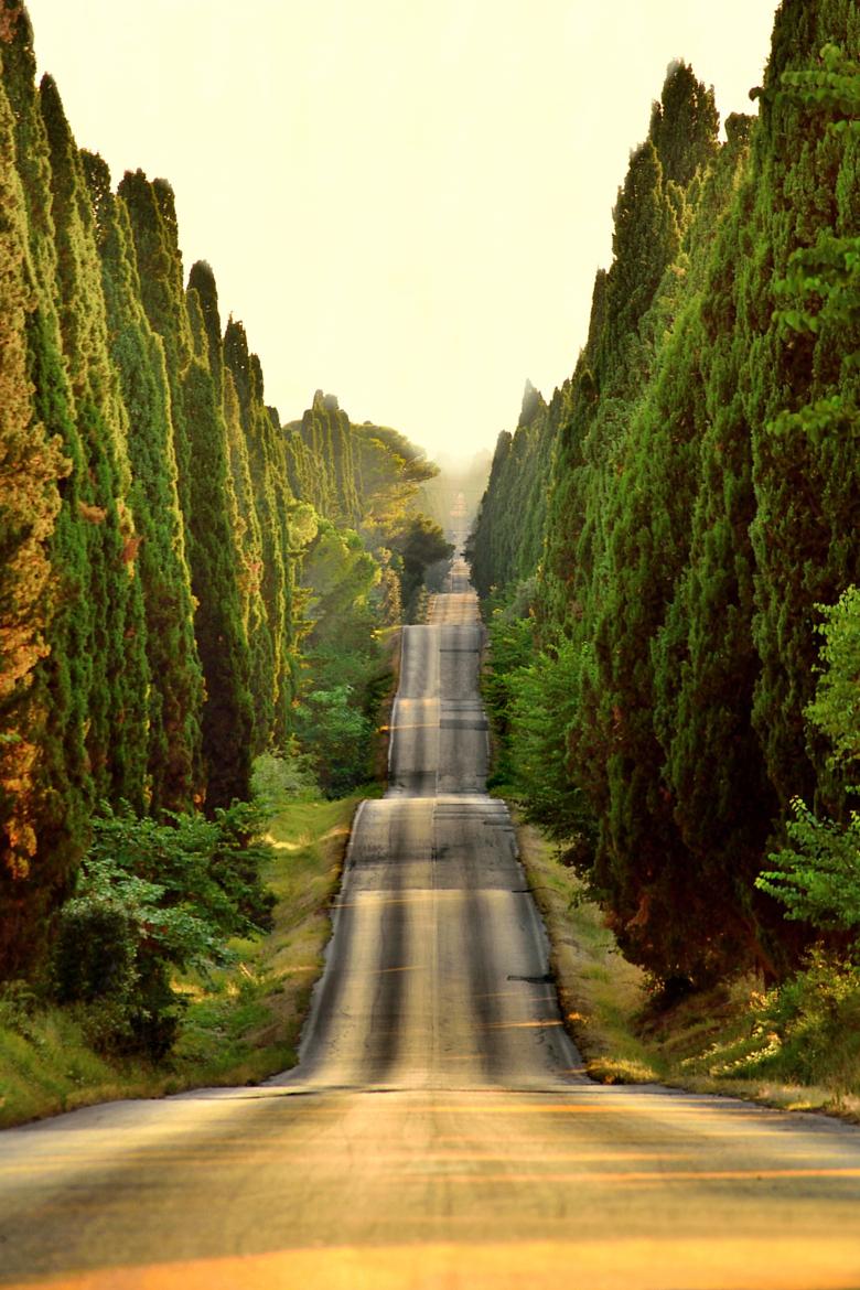 EarthPix's tweet photo. Sunset on a road in Bolgheri, Italy | Photo by Tiziano Pieroni http://t.co/0u3GBgp9QL