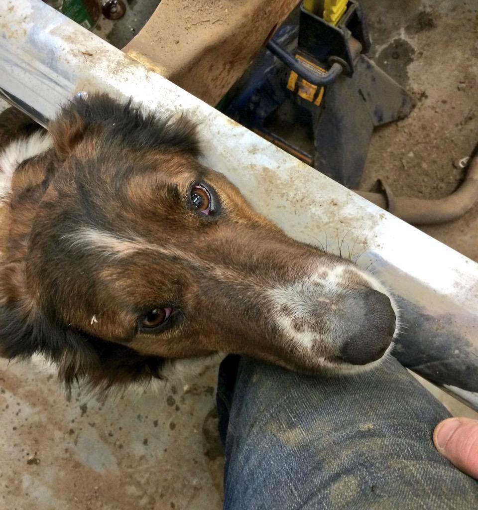 Chandler Jansen (ctjansen9566) Twitter