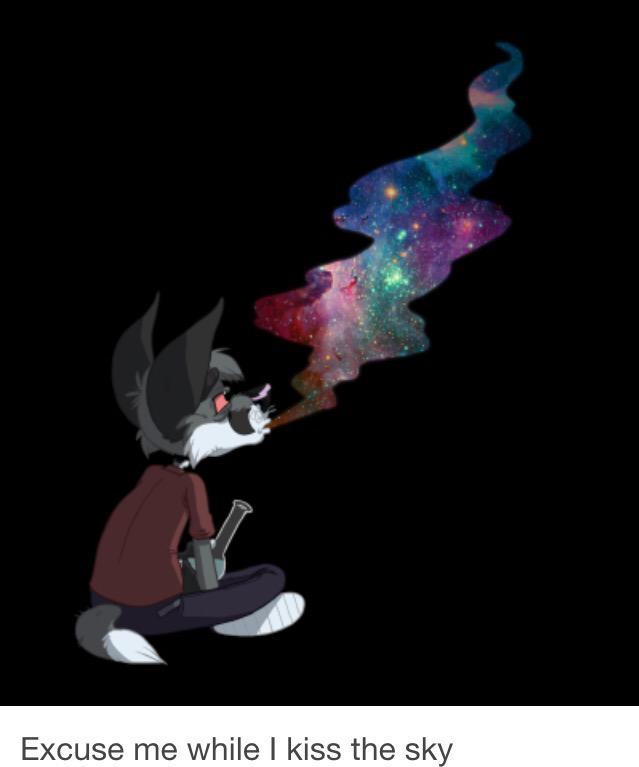 STONERClTY's tweet image. 