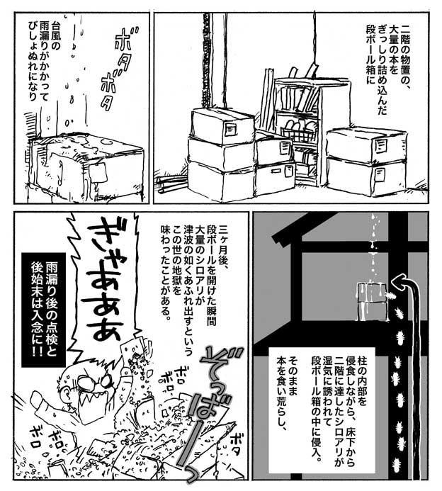 台風後のホラー 本を入れた段ボール箱を放っておいたらこうなった というお話が怖すぎる Togetter 台風後のホラー 本を入れた段ボール箱を放っておいたらこうなった というお話が怖すぎる Togetter