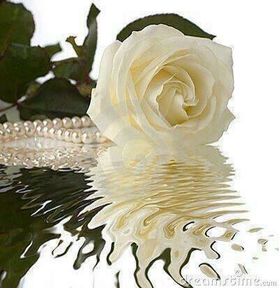 يسعدلي صباحكم بالخير والسرور.