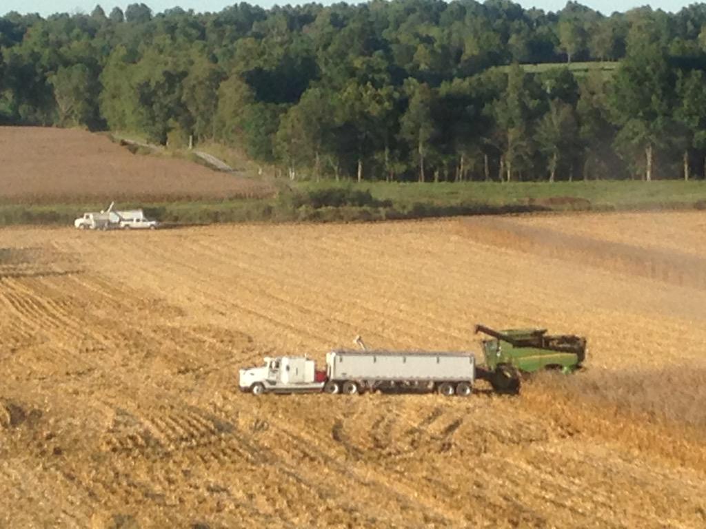 agrjosh's tweet photo. Nice #AgriGold test plot with @TSanderfur   Good plot! http://t.co/NhrA6HhjIL