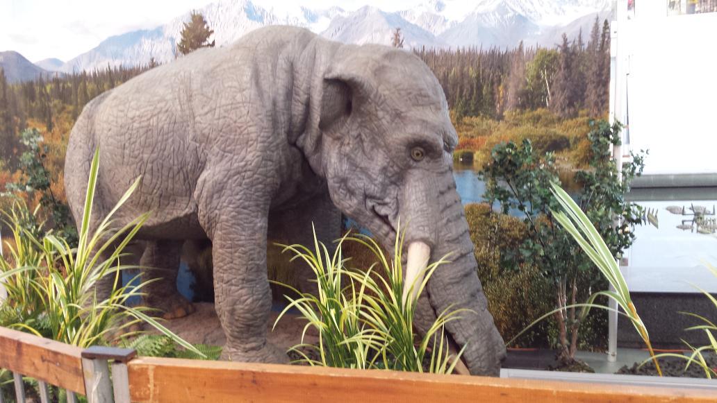 anioreg's tweet image. 