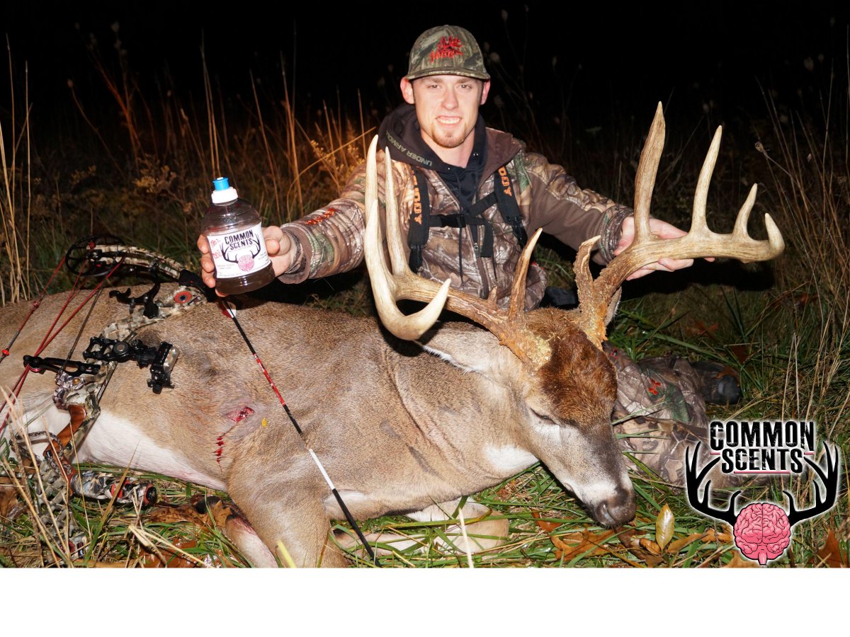3 Key Tips to Early Season Success: Arrow an Awesome Whitetail This Season! 
bit.ly/1iKAdti
