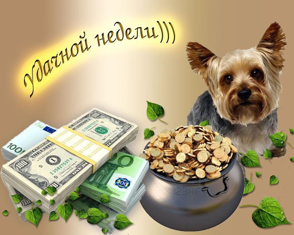 Картинки с началом недели прикольные