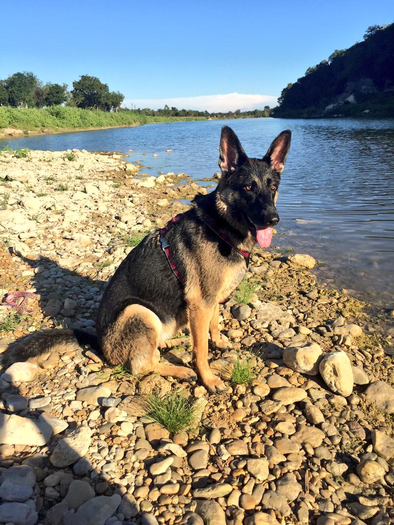 ryangarrey's tweet image. Happy 3rd birthday to (hopefully) the only daughter I'll ever have!!