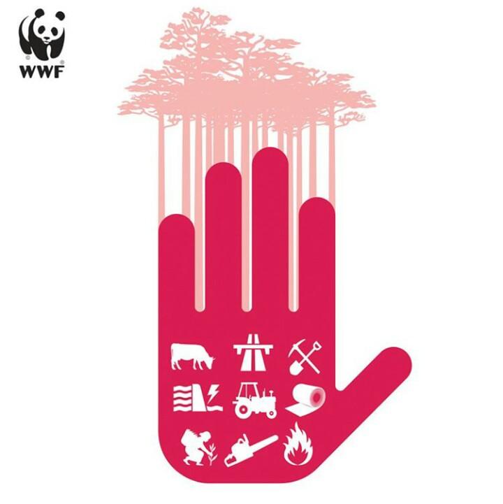 STOP penebangan hutan secara liar &amp; berbagai praktik yg dpt mengakibatkan kerusakan terhadap hutan ! #MelawanAsap