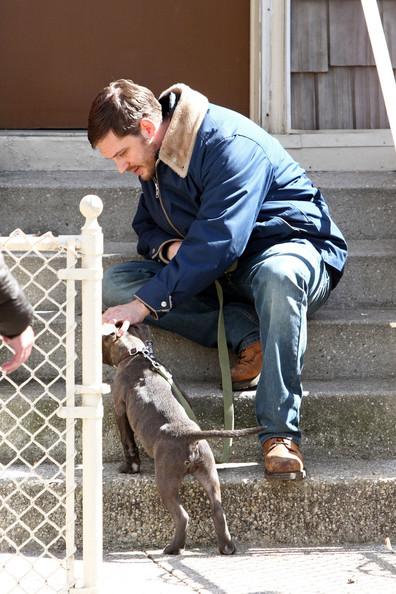 ট ইট র Ttss画像ｂｏｔ トム ハーディ誕生日企画 トムハと言えば犬好きというのは有名ですが 犬と共演した The Drop 海外では14年9月に公開済の作品です 公開からちょうど一年になりますが日本公開は未定です 写真はオフショットです Http T