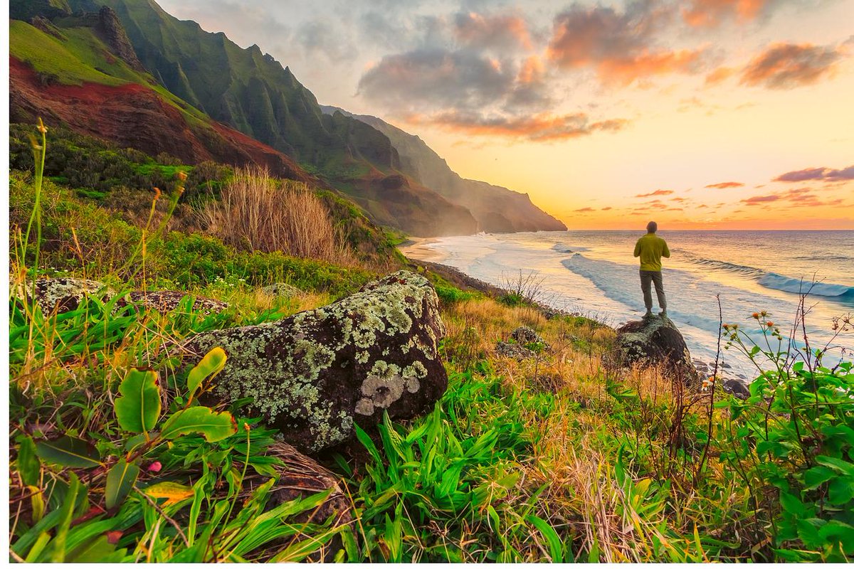 GetInDaQ's tweet image. "The journey of a thousand miles begins with one step." ~ Lao Tzu #Hawaii #quotestoliveby #QuotesOfTheDay #Life