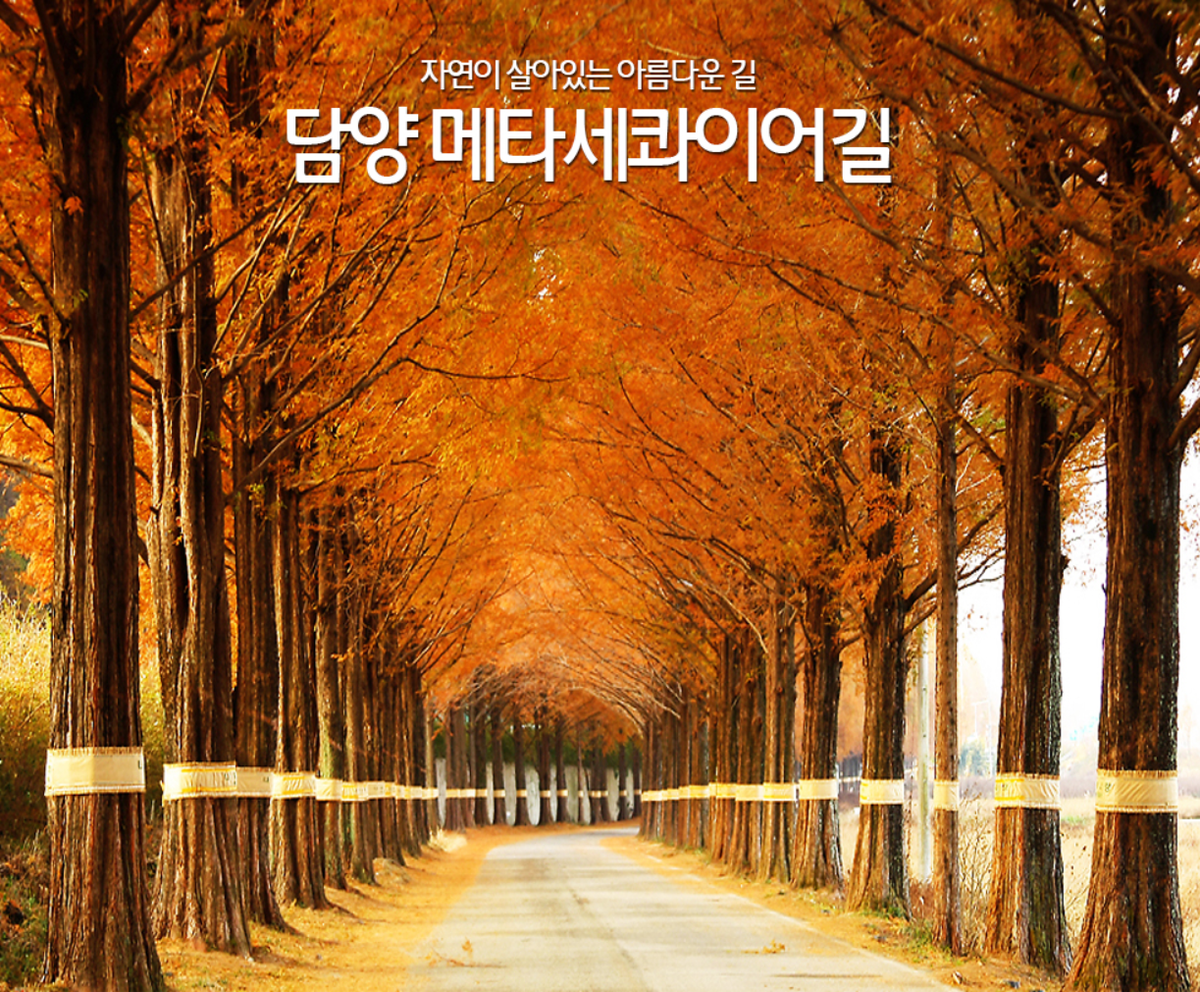 단풍1번지!  내장산 한국 최고의 단풍/대한민국 아름다운길[담양 메타세콰이어 가로수길]
tour1144.com/goods_view.php…