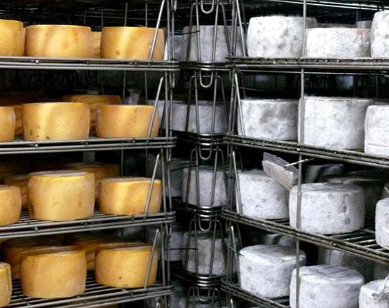 Descubre 8 queserías en España que merece la pena visitar buff.ly/1LvwJBM