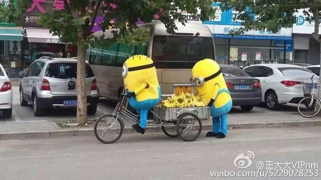 #Minion sekarang jualan pisang di jalanan Beijing, Tiongkok :D #AbisBrowsing