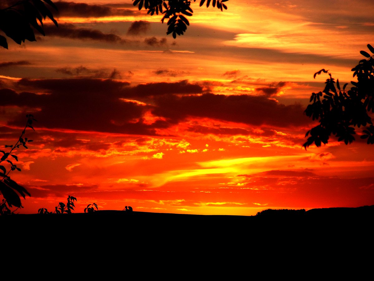 Beautiful Haslingden sunset taken from the garden the other night