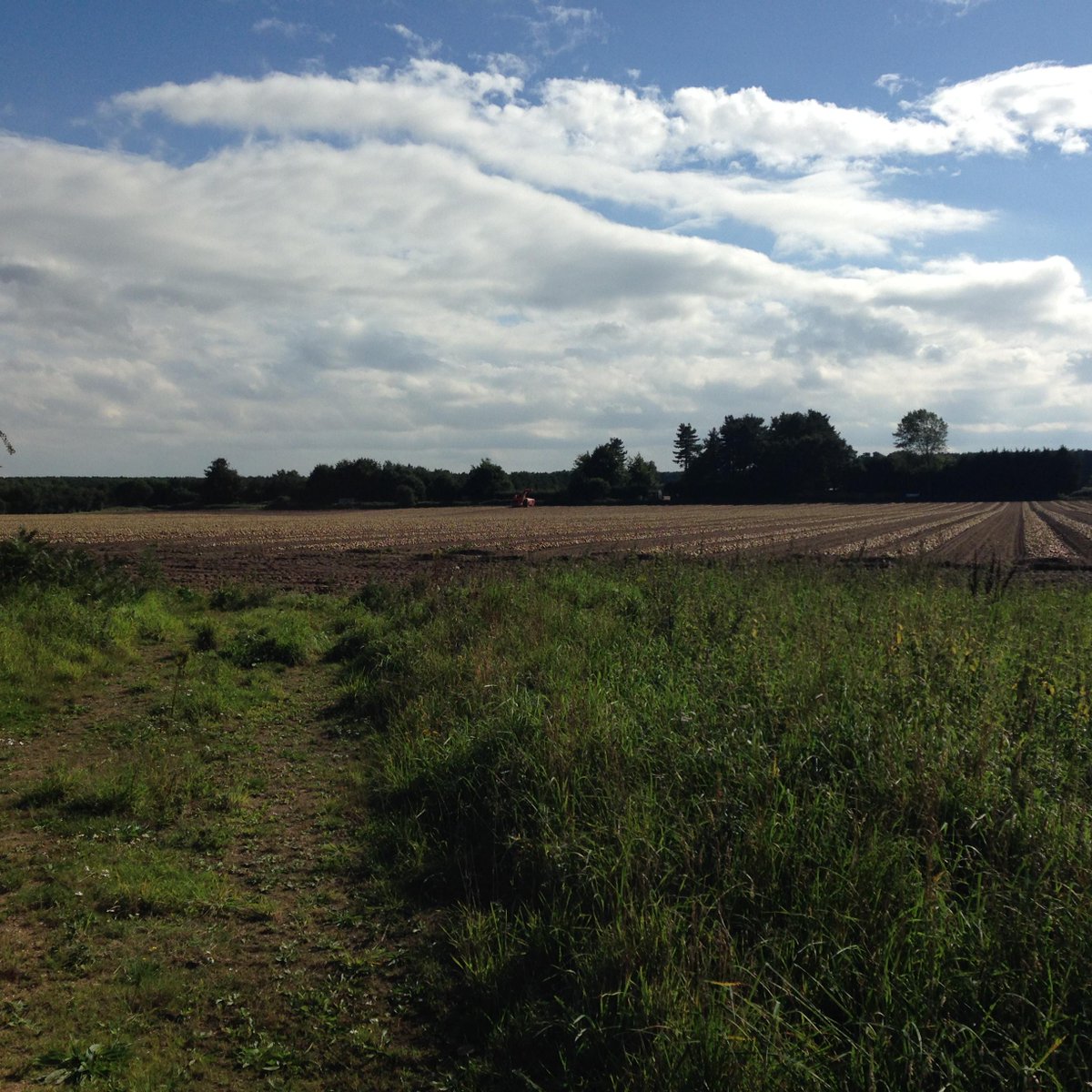 Suffolk Produce Ltd tweet media