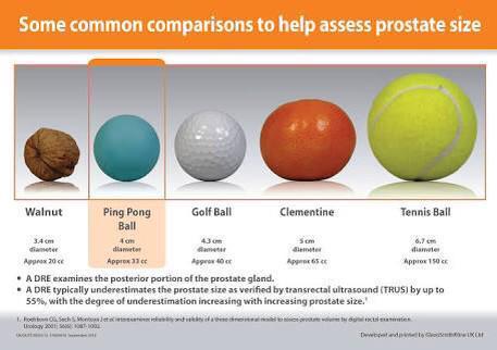 prostate size chart