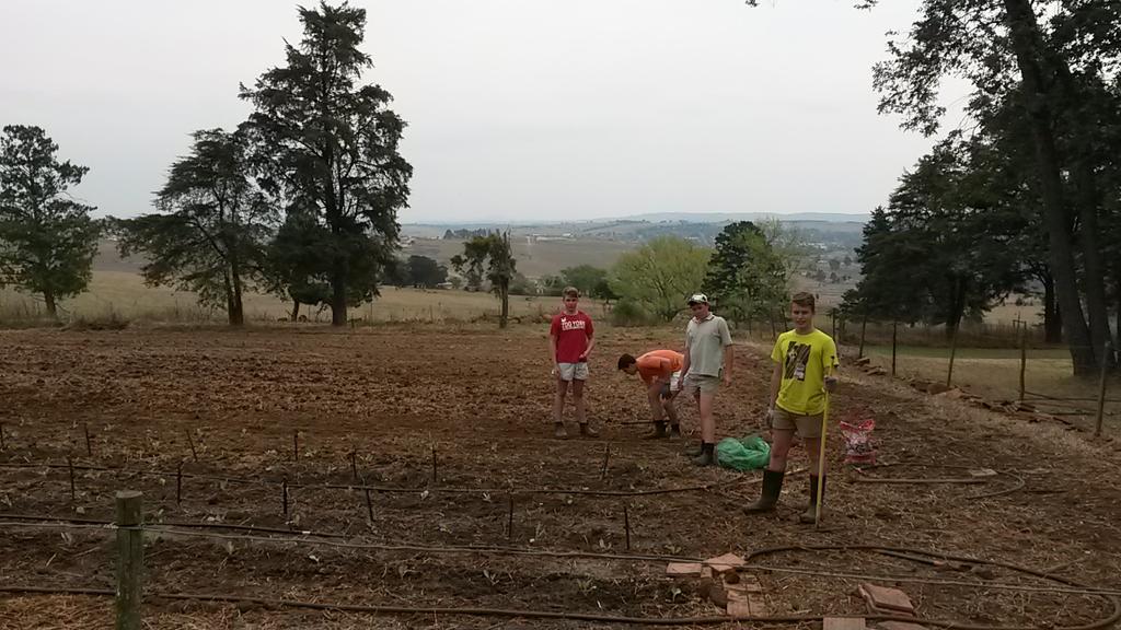 The boys hitting the veggie garden hard #westonfarming <a href="/PhillipsLM/">Lloyd Phillips</a> <a href="/FarmersWeeklySA/">Farmer's Weekly</a>