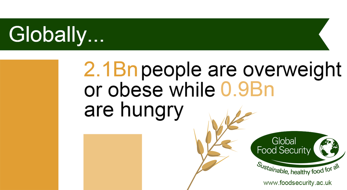 Imbalances in global access to #food highlighted in new <a href="/FoodSecurityUK/">Global Food Security</a> report  ht.ly/SdOfl #obesity