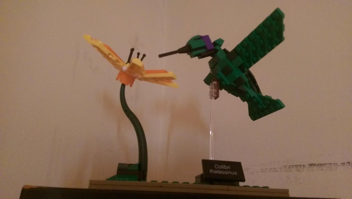 On_The_Radar55's tweet photo. "@EmailChicGeek: I made the Lego Birds @LEGO_Group @LEGOIdeas @urbanbirder http://t.co/Di5QJK9mzO"you seen these @YoloBirder? #getbricking