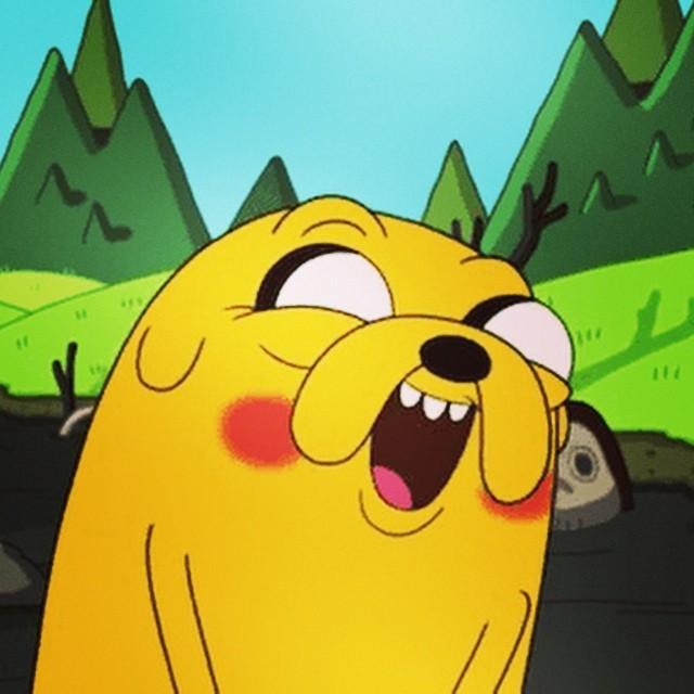 S0_B2ST_'s tweet photo. @xx_SHINee_xx ㅇ...아ㅇ니야...사실 처음보자마자 짐작하고있었는데 장난치려고 다른 사람 말한거야. 알지? 알지? http://t.co/q14FVTwhOX