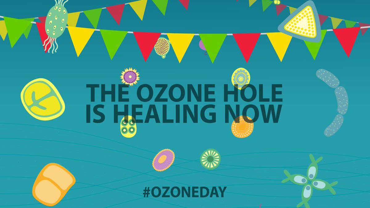 UN's tweet image. In 30 years there has been a 98% reduction in ozone depleting chemicals bit.ly/1UoNwAA #OzoneDay