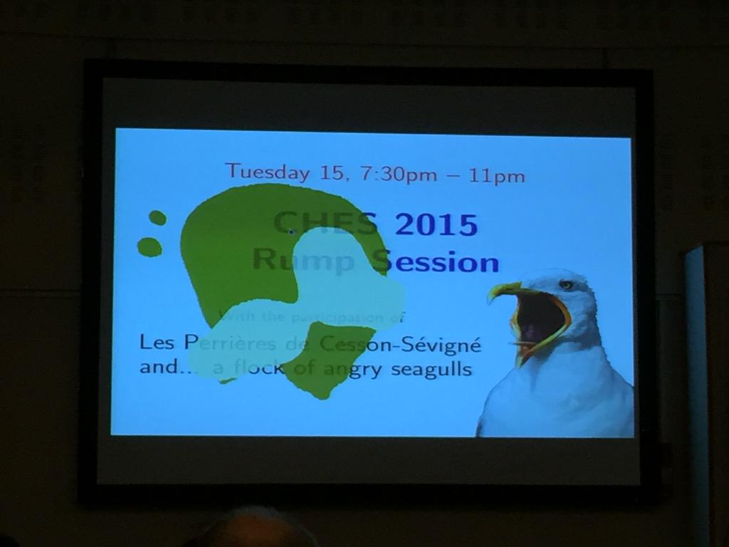 CHES2015's tweet photo. Send angry seagulls if the talk of the rump session bores you #rumpsesion #ches2015!! http://t.co/2CEbXbRQg9