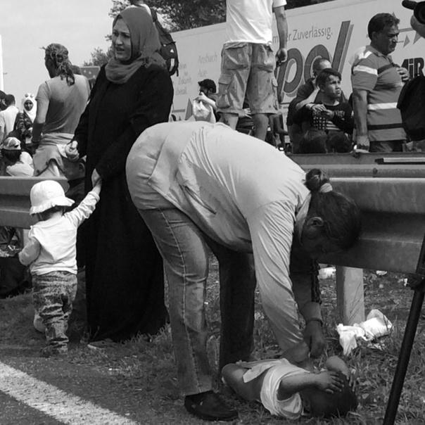 Eingebetteter Bild-Link