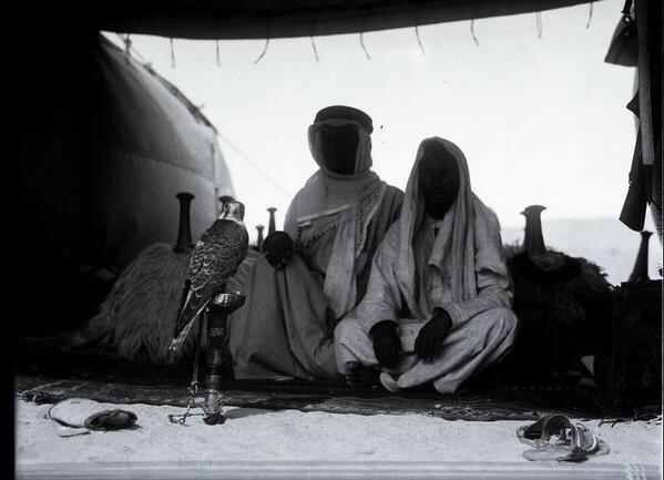 آثرالرخـا ستر لغـرات الأجواد
خـيم على روس العـباد وشملها

لو العلوم الطيبه تـوخذ أقـصاد
أكثر وجـيه الناس ماأحد كـفلها