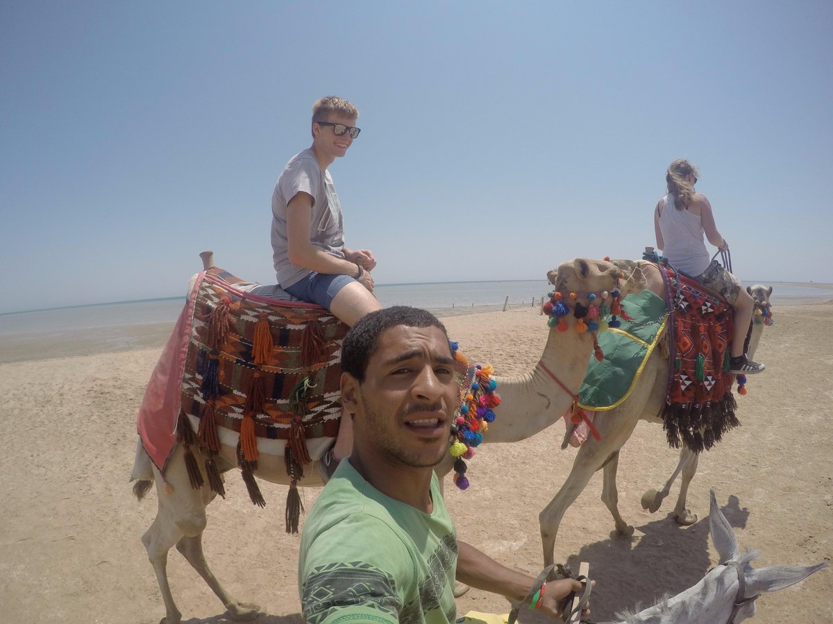 yoikamarien's tweet photo. Love Egypt with heart and soul <3 
#Yallahorses #Love #Threecornerselgouna http://t.co/fLiv62CWox
