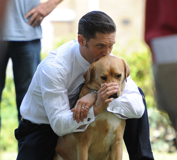 38 photos of Tom Hardy with dogs to celebrate his 38th birthday  