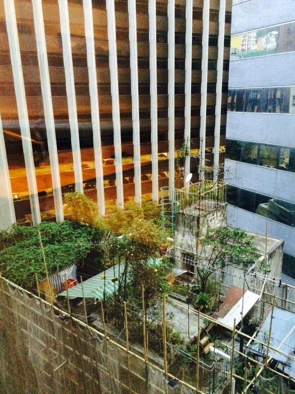 dakwaarde's tweet photo. Ruimte in de #stad schaars? In Hong Kong lag er nog wat ruimte op de daken... #dakmoestuin @Rolf_Oldejans @Stadslab http://t.co/JR2CGxM88R