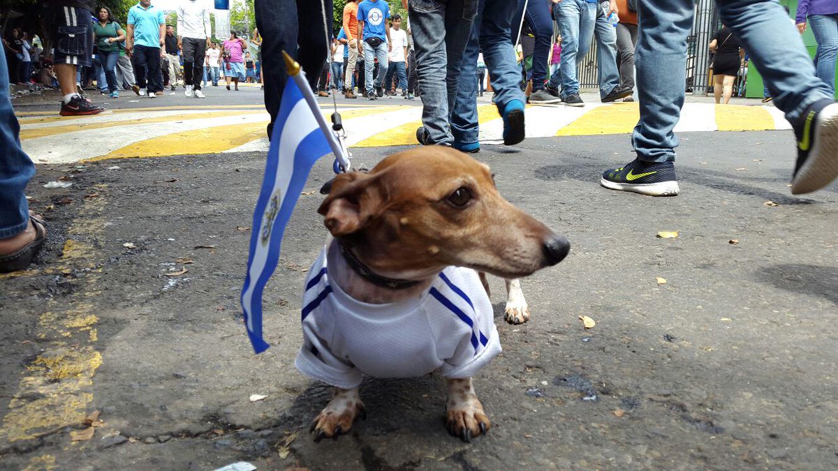 Enlace permanente de imagen incrustada