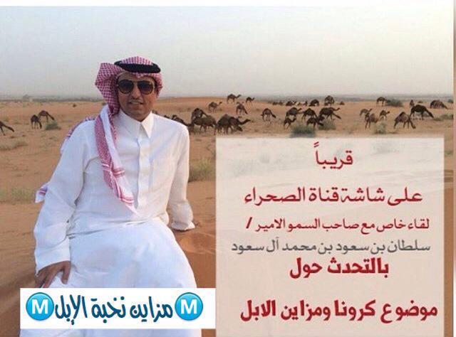 AlShyaben's tweet photo. قريباً على قناة الصحراء:
لقاء مع سمو الأمير سلطان بن سعودبن محمد آل سعود حول #كورونا
و #مزاين  ام رقيبة http://t.co/HwYIo4scpE
