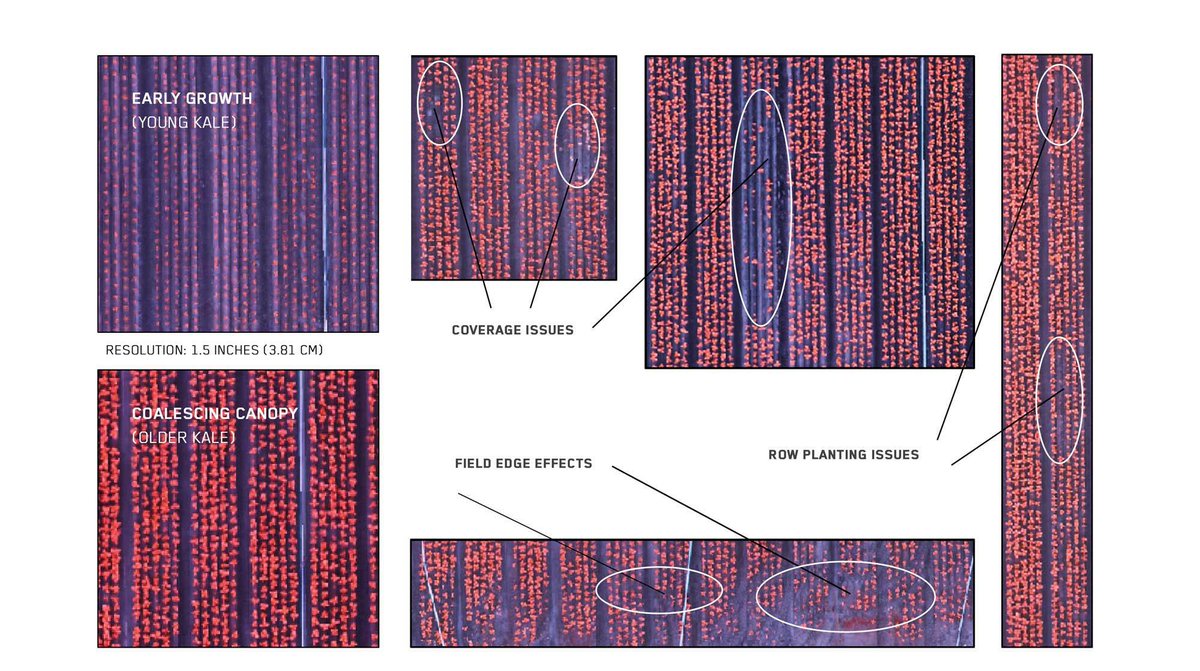 Improve farm intelligence by adding classification maps to management plans  #precisionag agpixel.com/case-studies/