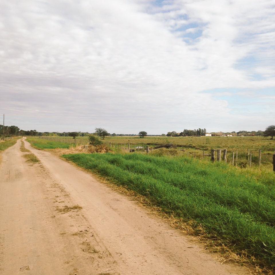 "Con los pies en la tierra, pero los ojos en el cielo. Necesito tu mano, porque solo no puedo" 🎶🍃⛅️ #ArribaMartesssss