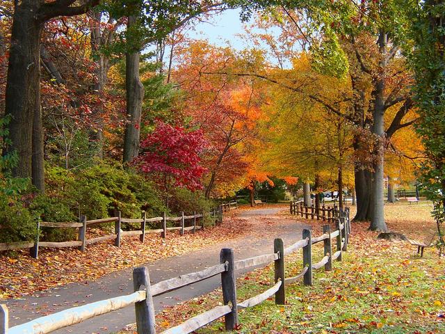 3ManAutoService's tweet image. The temperature is FINALLY dropping, after a sweltering summer! Bring your car in for a routine inspection. 748-0932