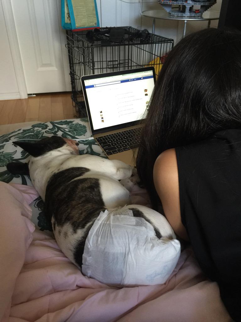 geebs's tweet image. #garoline2015 setting up the tweet wall. So meta.