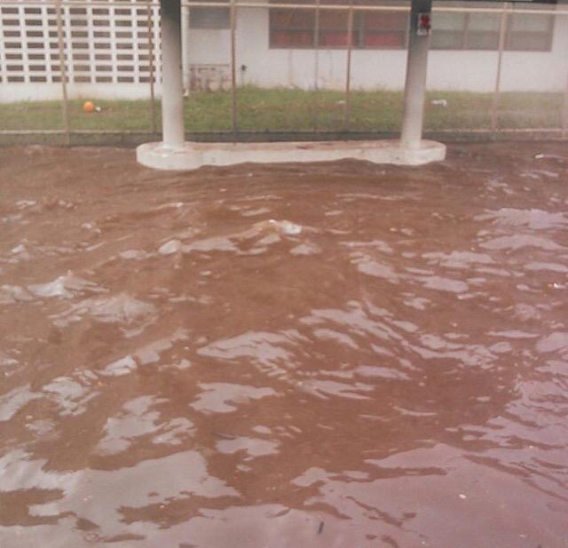 darcijoy: RT solomonout: Liliha St. bus stop vs. flash flood. Take those weather warnings seriously, #Hawaii! Phot…