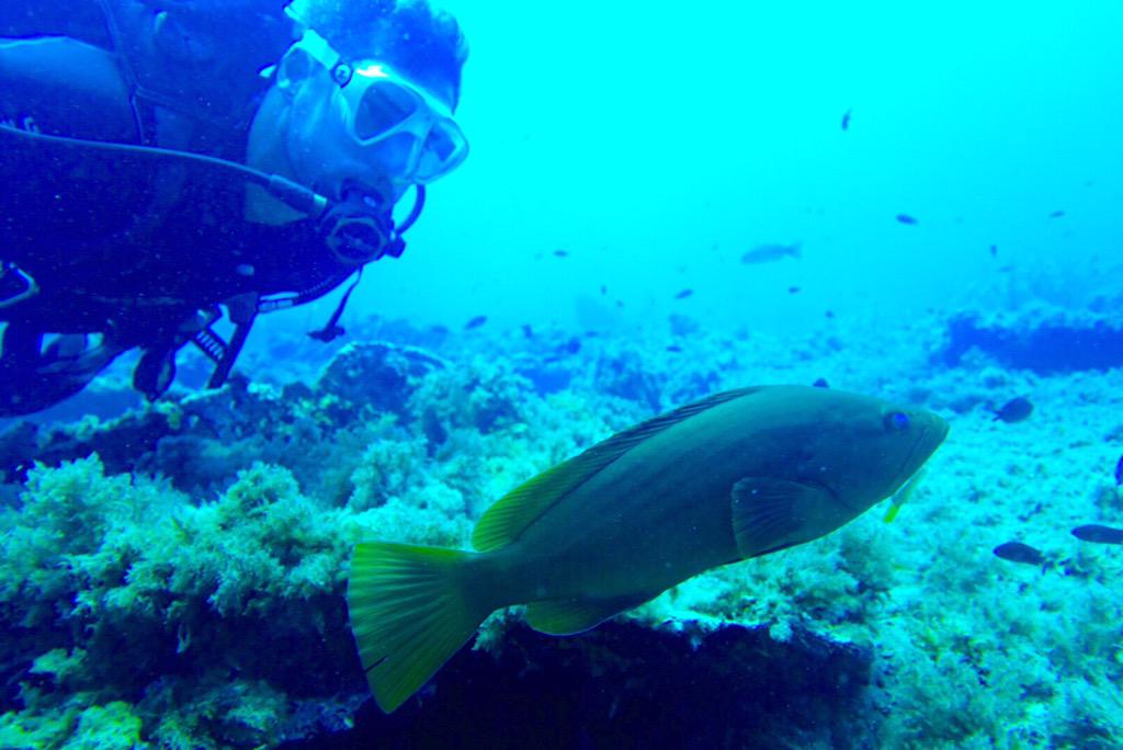 davidbisbal's tweet image. Deseando ver el resultado del nuevo video promocional de la costa de @almeria_turismo qué bien me lo pasé grabándolo!
