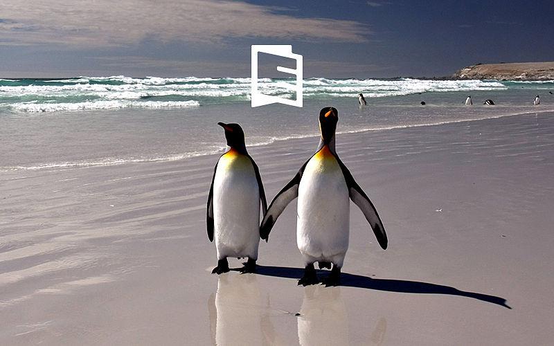 expressible_inc's tweet photo. A look at how brands can make #SEO and #storytelling go hand in hand: http://t.co/aezoVnHw6V http://t.co/B8rO2WXr2L