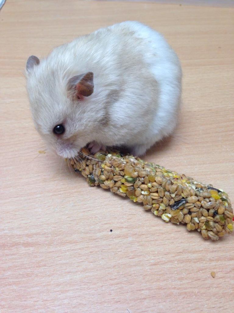 Xena4eva tweet media