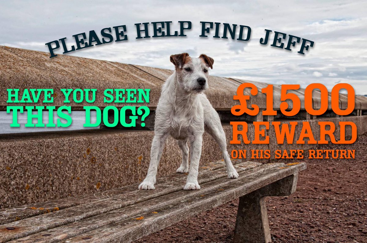 MrsJobs's tweet photo. #findJeff Please help find me - bring me back 252days since someone picked me up and took me away from my true home. http://t.co/UlKHMYTL8l