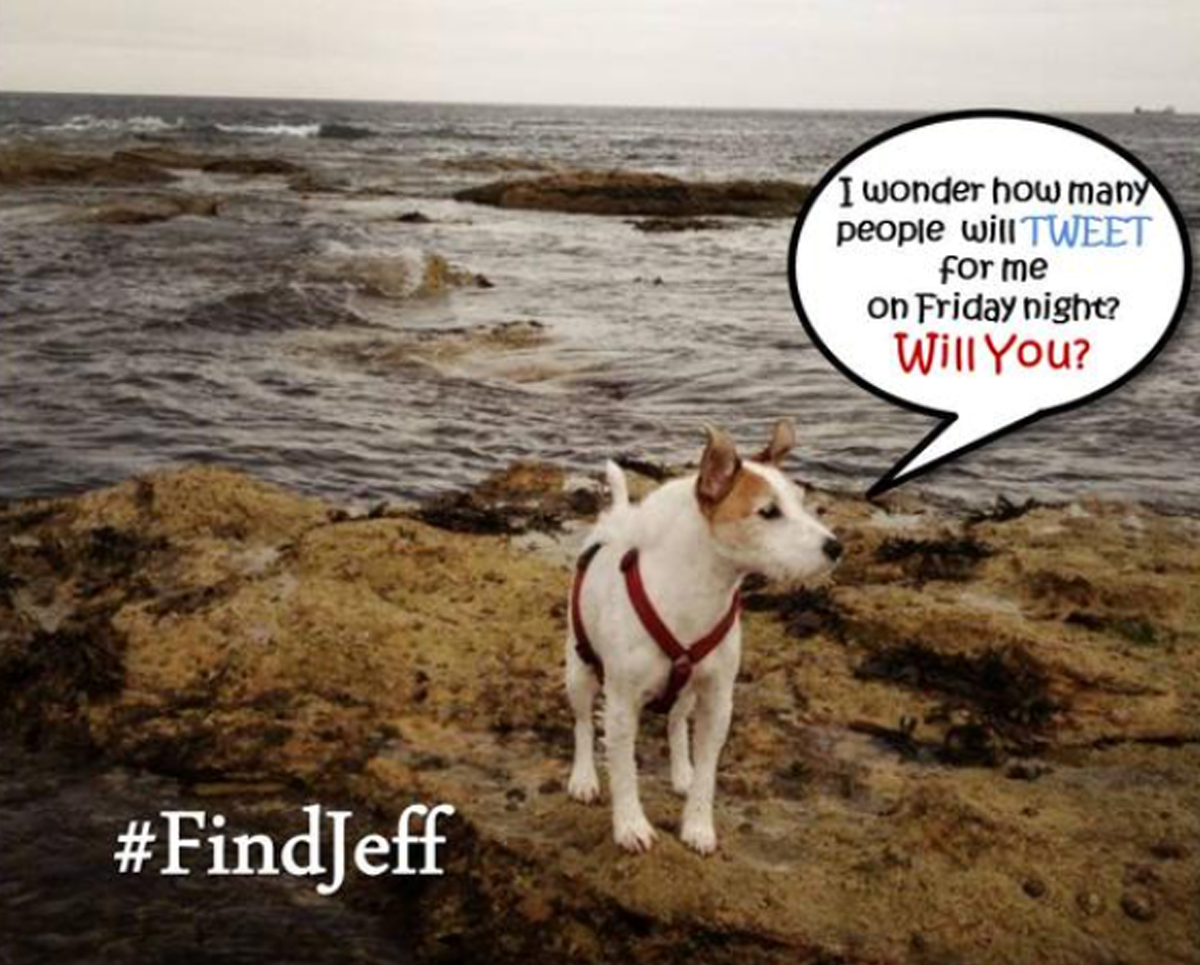 MrsJobs's tweet photo. #findJeff Please help find me - bring me back 252days since someone picked me up and took me away from my true home. http://t.co/UlKHMYTL8l