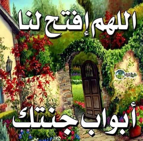 RrAareda tweet picture
