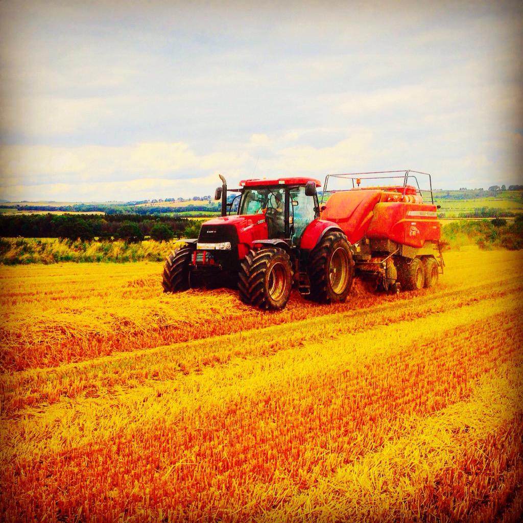 M A Smith Farms tweet media