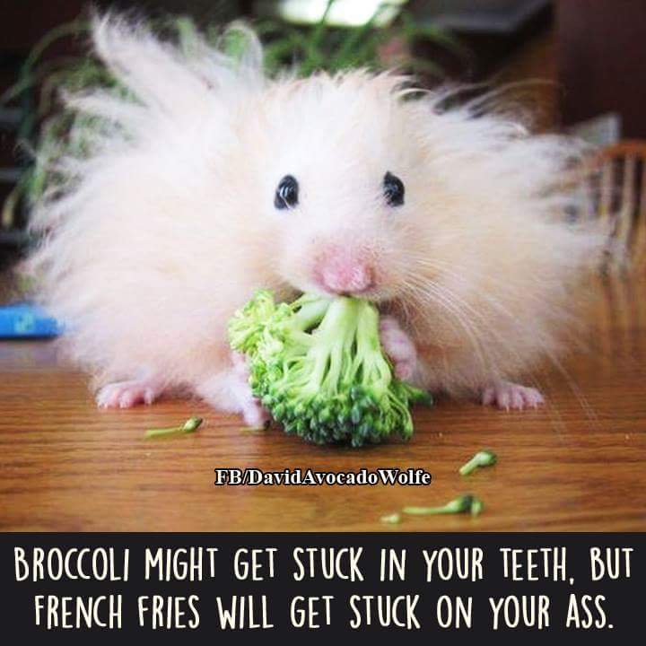 weegassy's tweet photo. @thebodycoach ha ha love it, and so true!! #eatingcleangettinglean http://t.co/KOV3pD0qMC