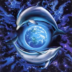KatelynMcCleese's tweet photo. "There are many great minds on Earth and not all are human" 🌎🐬🌌 http://t.co/nuRCMebABe