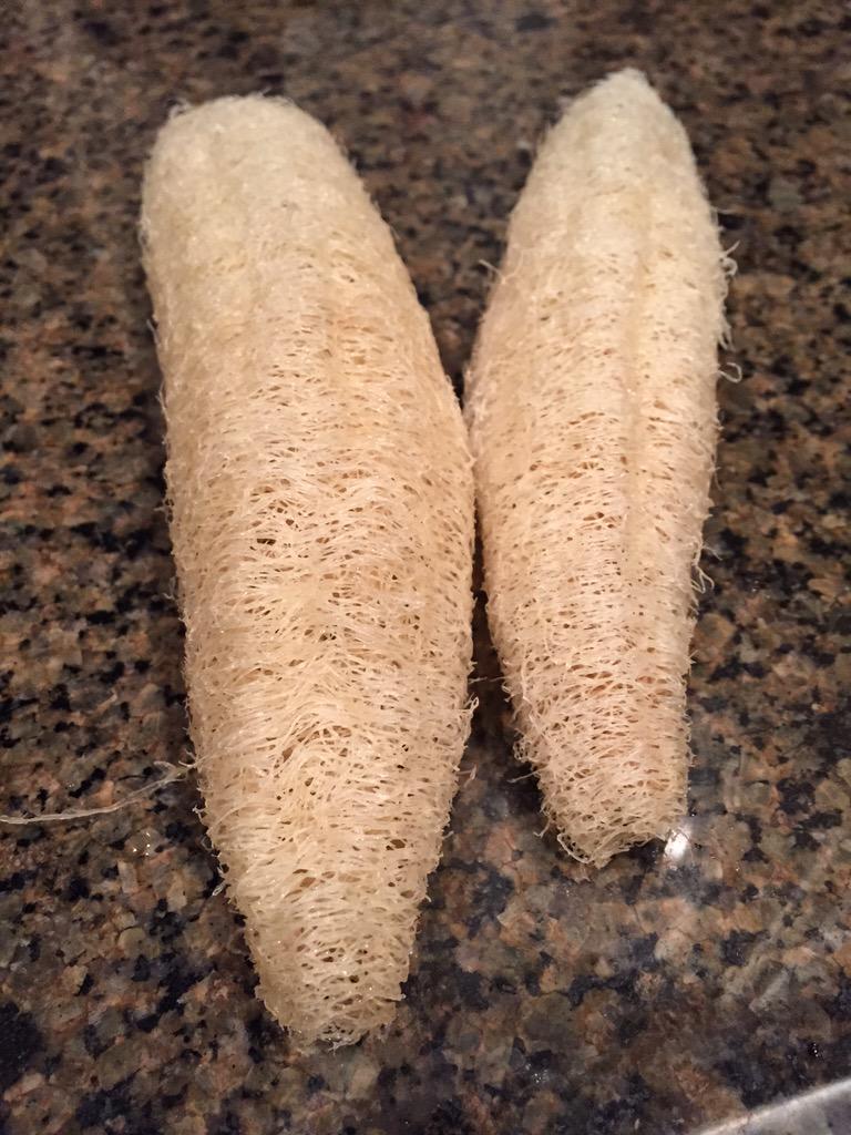 lemontreesoap's tweet image. First loofas are practically perfect! Coming this #Christmas to @lemontreesoap #shoplocal #oklahomagrown #natural