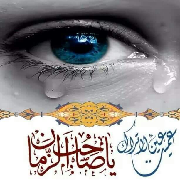 متى تشرق الأرض بنور ربها
متى نرد مناهلك الروية
متى نستسقي عذب ماء عين الوجود
#يا _صاحب _الزمان.                  🍁🍀🍁🍀