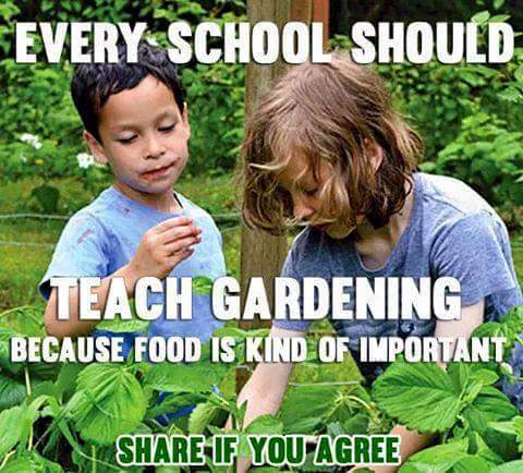 greenschoolsorg's tweet photo. Every School Should Have A Garden! @EDGreenRibbon @greenBXmachine @EcoSchoolsUSA @mygreenschools @diana_dehm_snae http://t.co/UWx44IZKuU